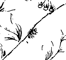 103/103590030002940_1.png