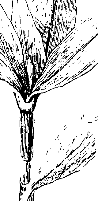 103/103590030002940_2.png