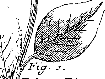 103/103590030002940_3.png