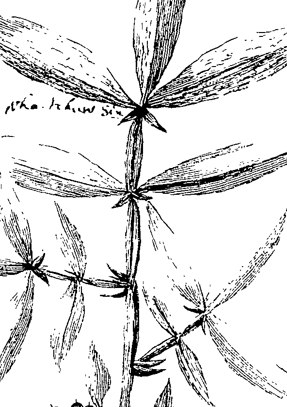 103/103590030002940_4.png