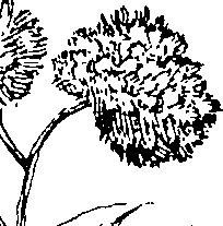 103/103590030002940_5.png