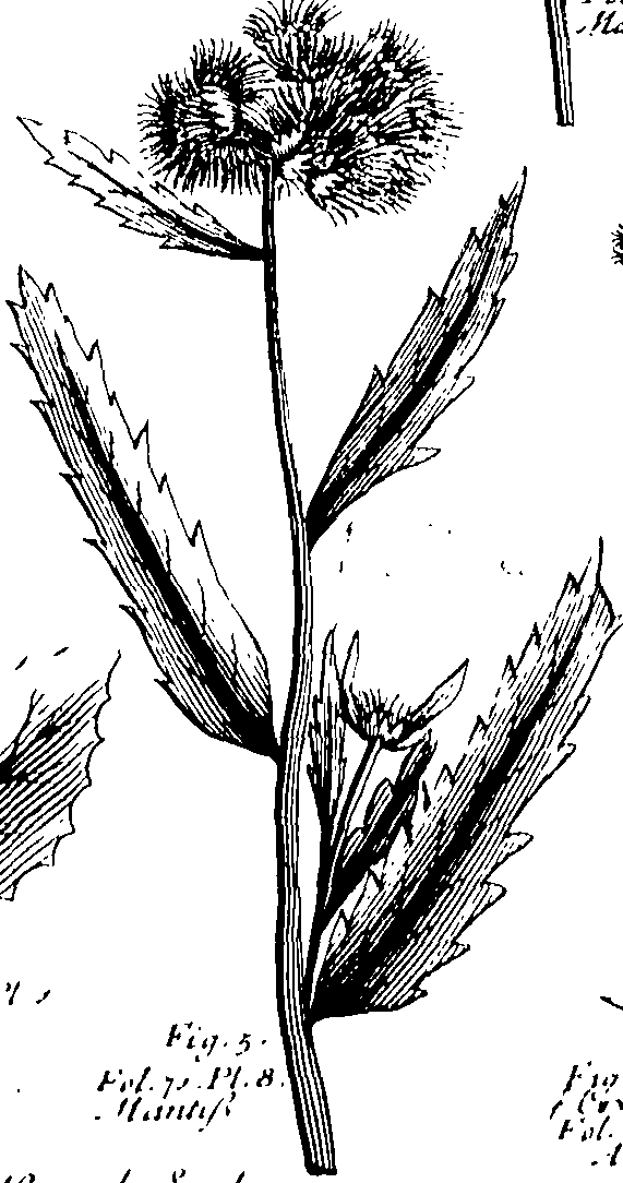 103/103590030002980_0.png