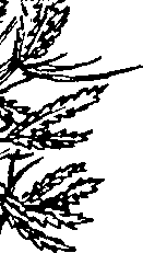 103/103590030003000_1.png