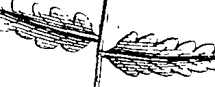 103/103590030003020_0.png