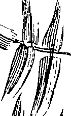 103/103590030003040_0.png