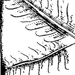 103/103590030003040_1.png