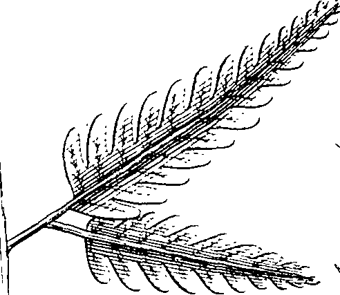 103/103590030003040_2.png