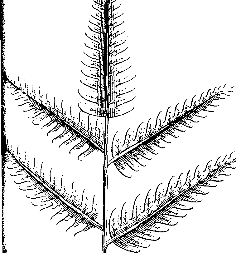 103/103590030003040_3.png