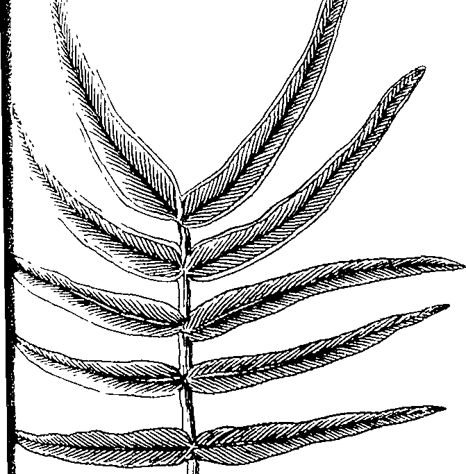 103/103590030003050_0.png