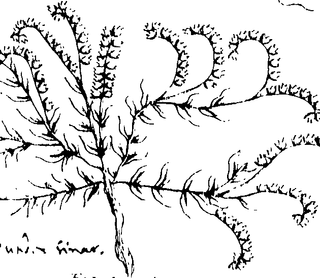 103/103590030003070_0.png