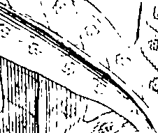 103/103590030003070_2.png