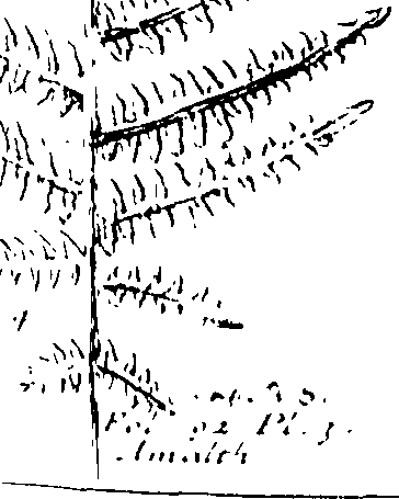 103/103590030003090_0.png