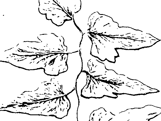 103/103590030003090_1.png