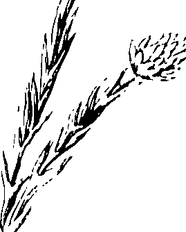 103/103590030003100_0.png