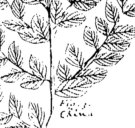 103/103590030003110_0.png
