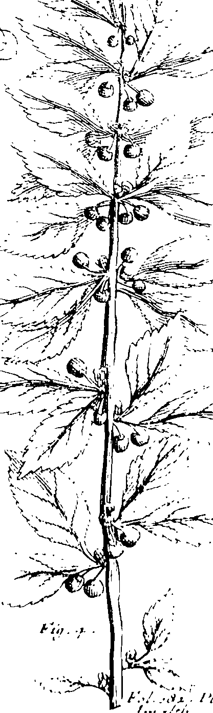 103/103590030003110_1.png