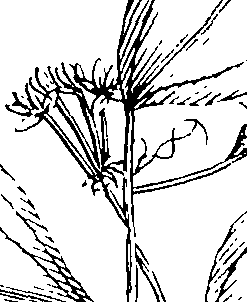 103/103590030003110_2.png