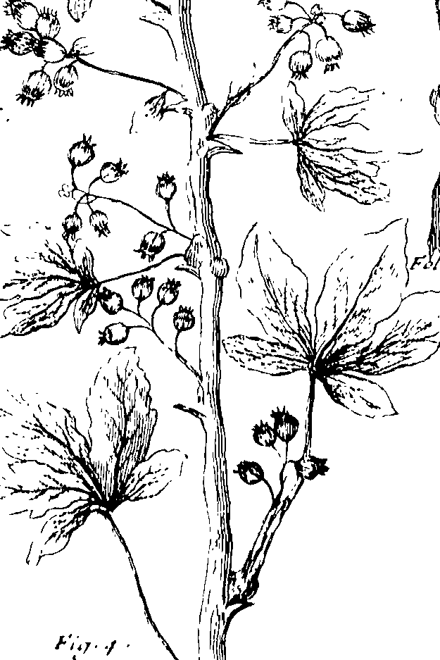 103/103590030003120_0.png