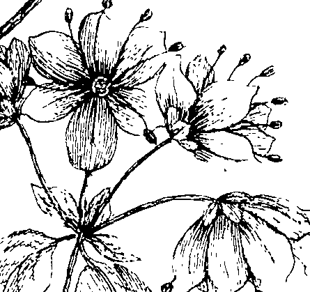 103/103590030003120_1.png