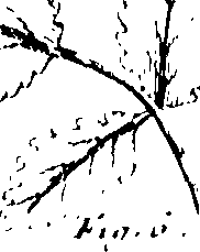103/103590030003130_0.png