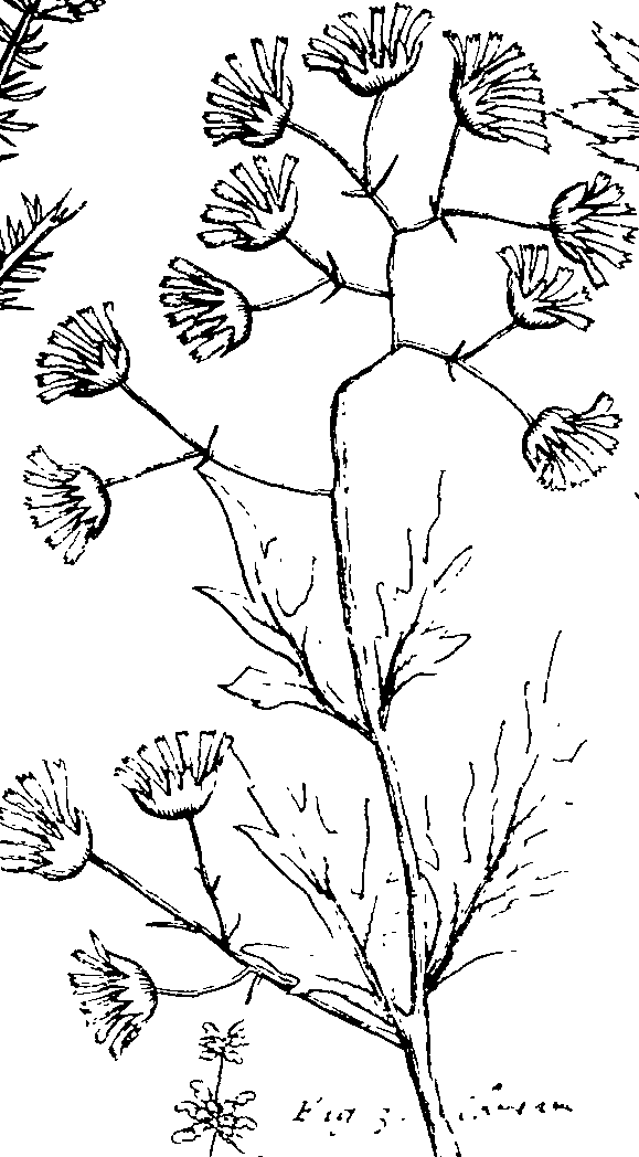 103/103590030003130_2.png