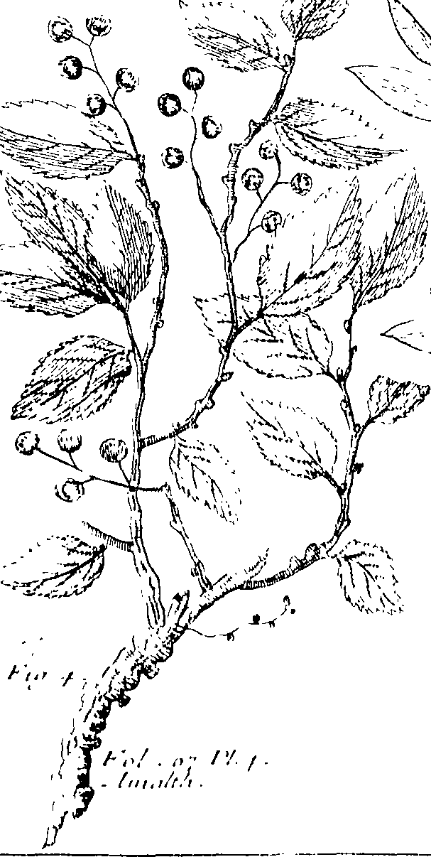 103/103590030003140_0.png