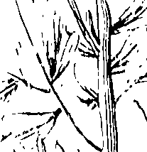 103/103590030003160_0.png