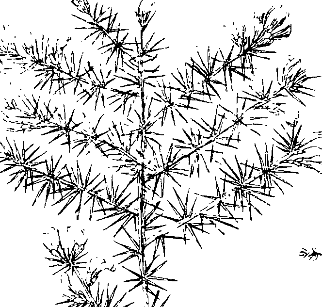 103/103590030003160_2.png