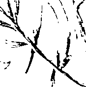 103/103590030003170_0.png