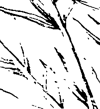 103/103590030003170_2.png