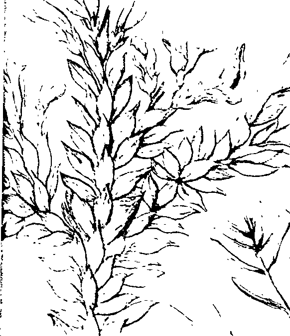 103/103590030003170_3.png