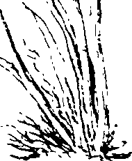 103/103590030003180_1.png
