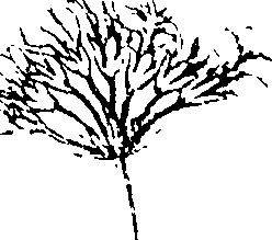 103/103590030003180_2.png