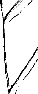 103/103590030003200_0.png