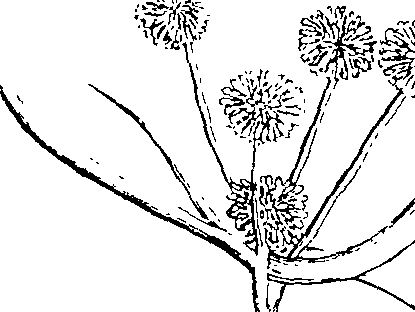 103/103590030003200_1.png