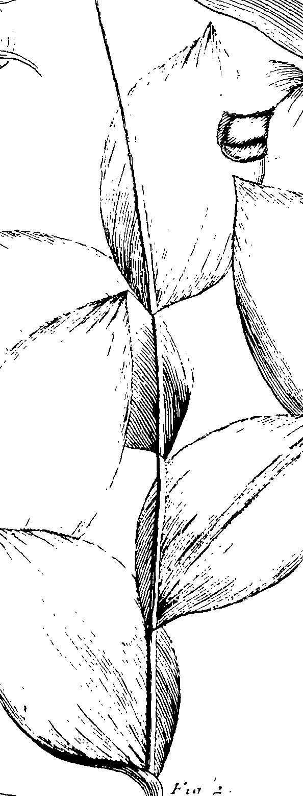 103/103590030003210_0.png