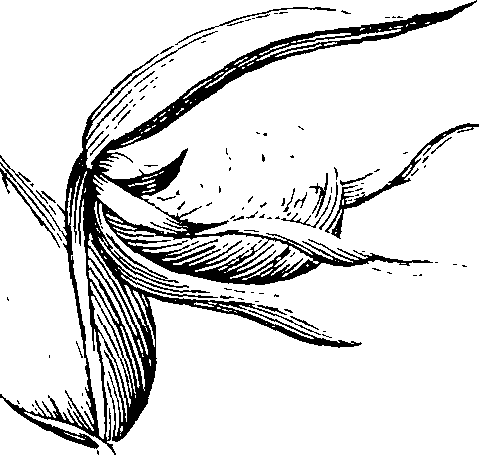 103/103590030003210_1.png