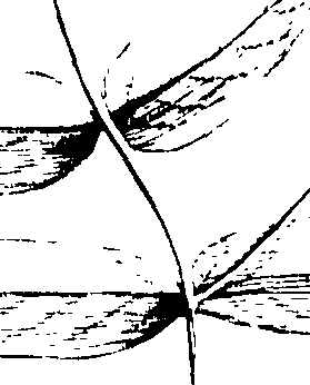 103/103590030003220_1.png