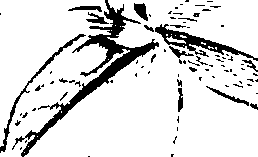 103/103590030003220_3.png