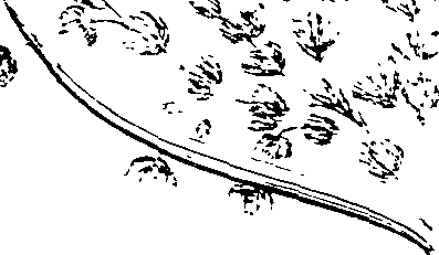 103/103590030003220_4.png