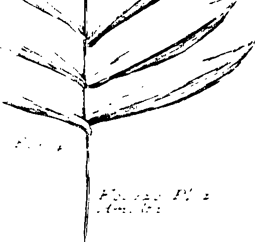 103/103590030003230_0.png