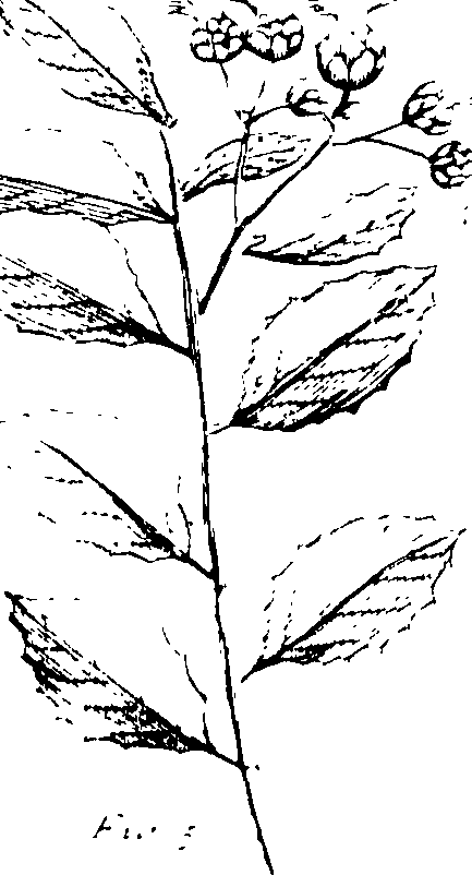 103/103590030003230_1.png