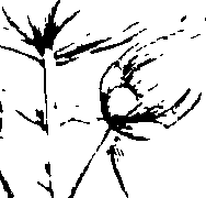 103/103590030003230_2.png
