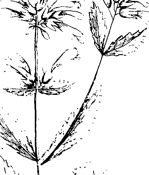 103/103590030003230_3.png