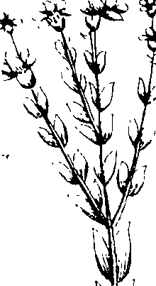 103/103590030003240_1.png