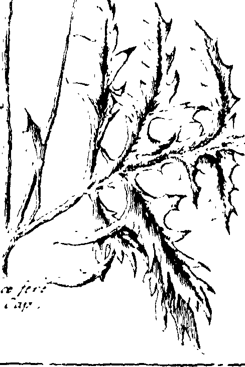 103/103590030003250_0.png