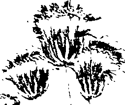103/103590030003250_2.png