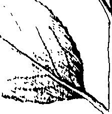 103/103590030003260_0.png