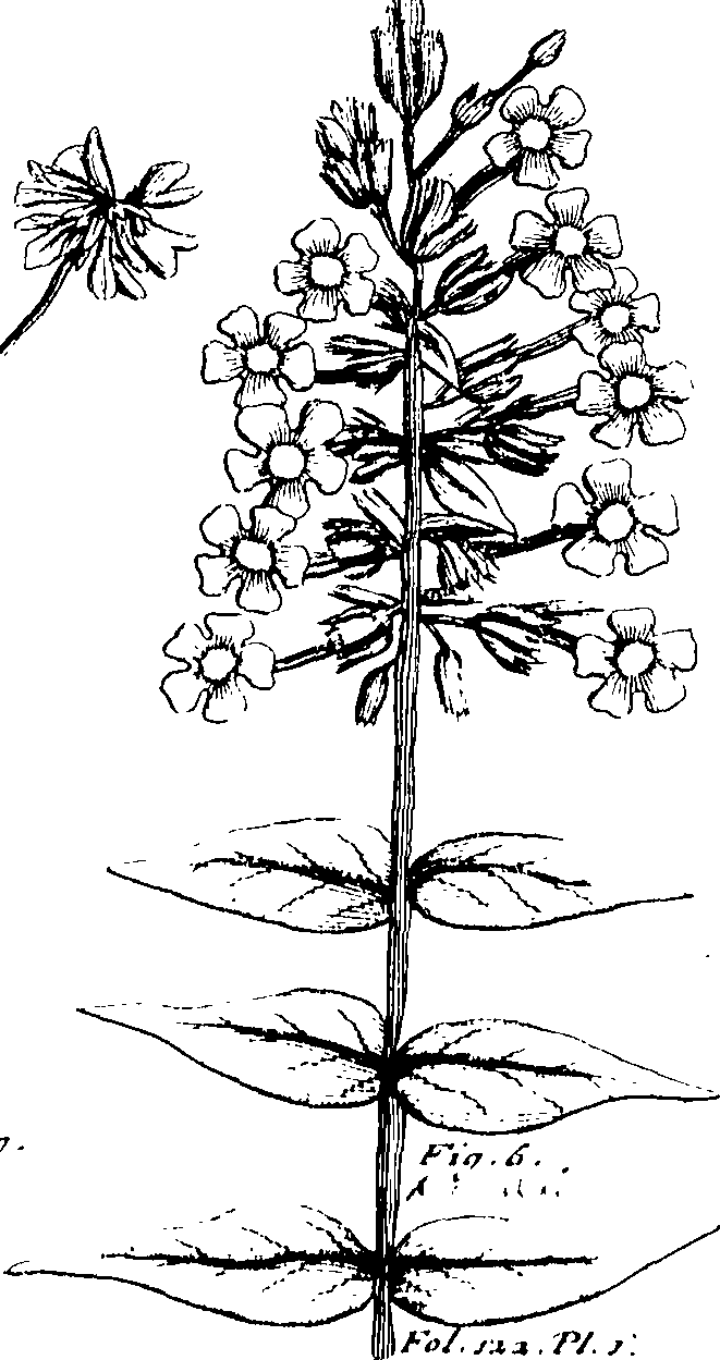 103/103590030003280_0.png