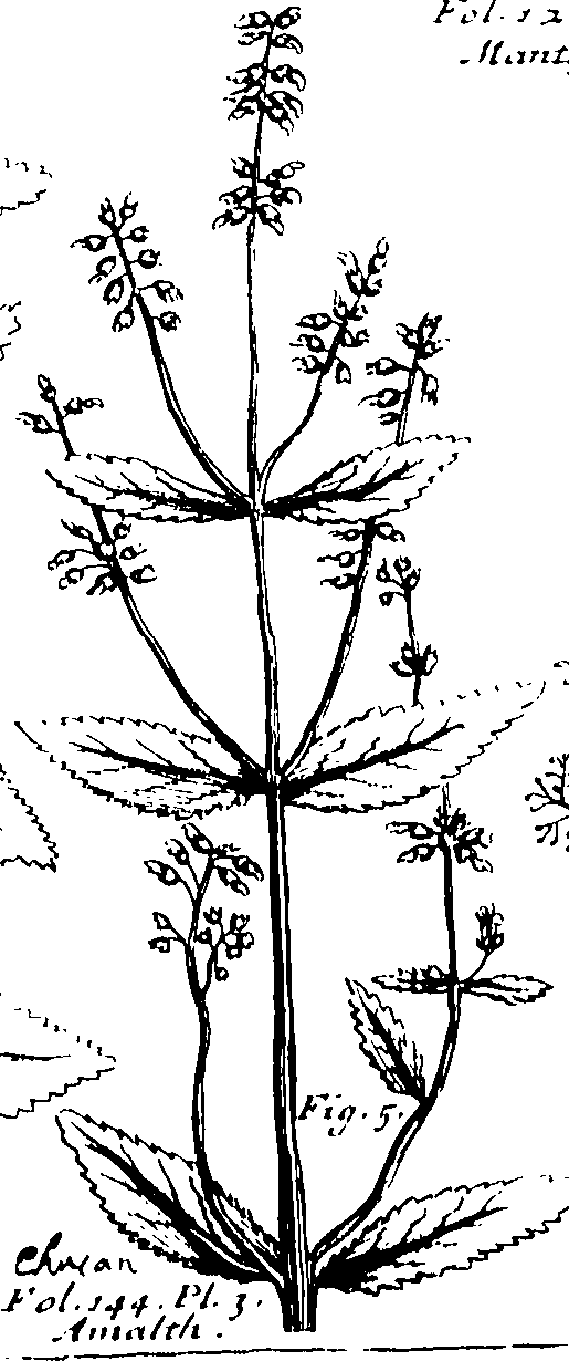 103/103590030003330_0.png
